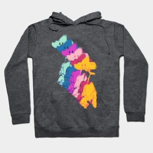 Awkward Cloud Inspired by Joseph's Technicolor Dreamcoat Hoodie